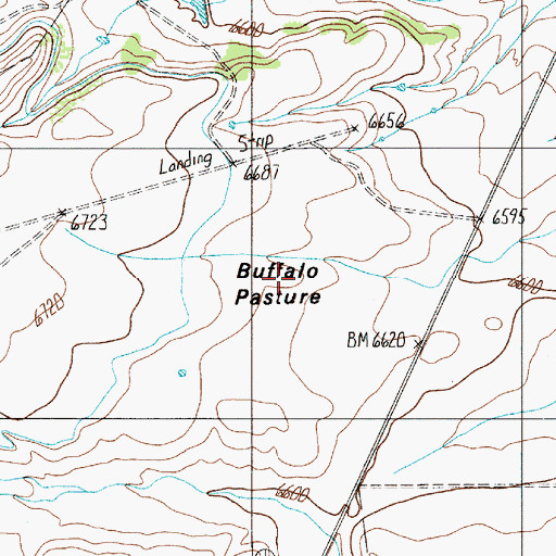 Topographic Map of Buffalo Pasture, NM