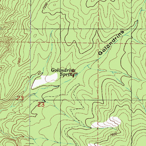 Topographic Map of Golondrina Spring, NM
