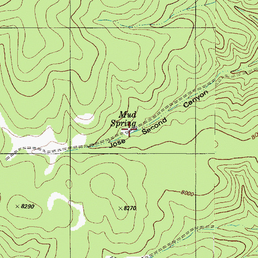 Topographic Map of Mud Spring, NM