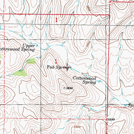 Topographic Map of Tub Spring, NM