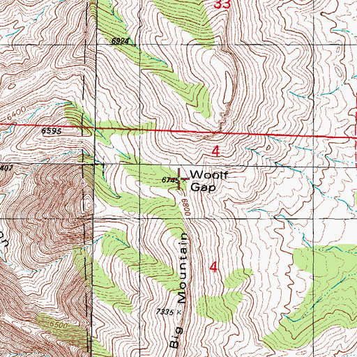 Topographic Map of Woolf Gap, NM