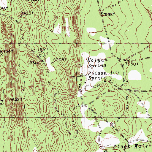 Topographic Map of Poision Ivy Spring, NM
