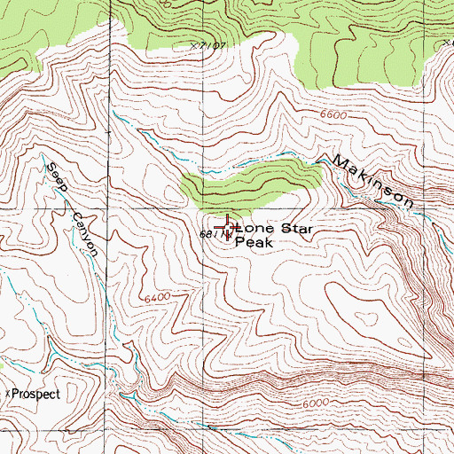 Topographic Map of Lone Star Peak, NM