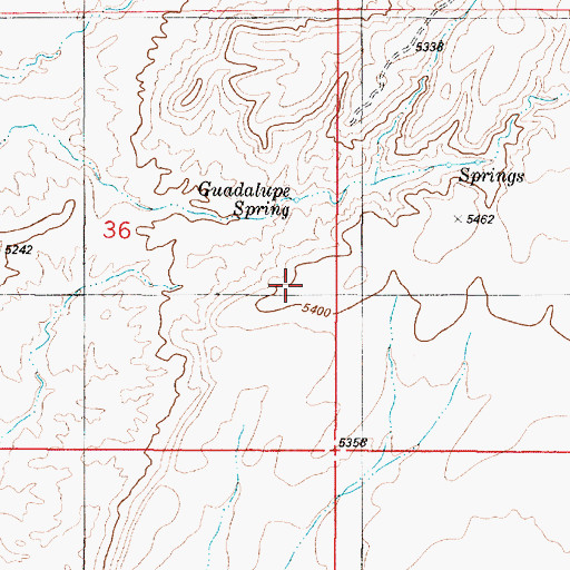 Topographic Map of Guadalupe Spring, NM