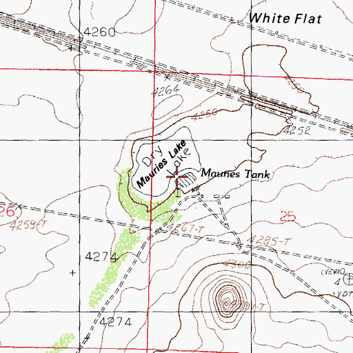 Topographic Map of Mauries Tank, NM