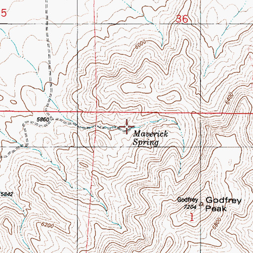 Topographic Map of Maverick Spring, NM
