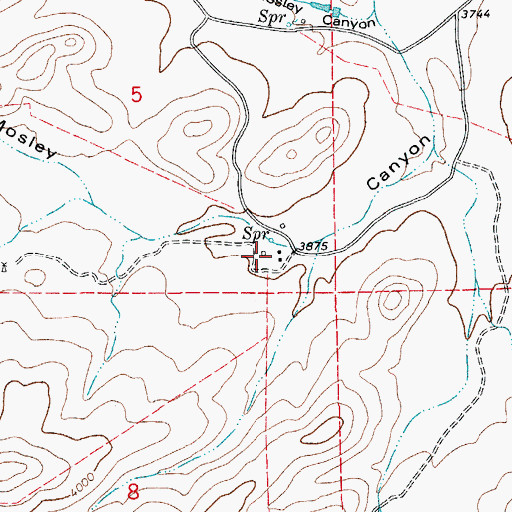 Topographic Map of White Ranch, NM