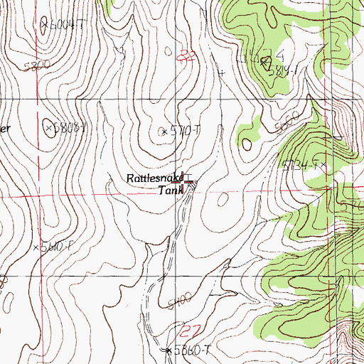 Topographic Map of Rattlesnake Tank, NM