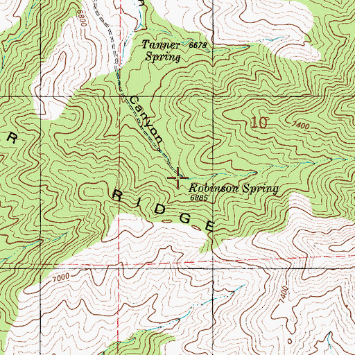 Topographic Map of Robinson Spring, NM