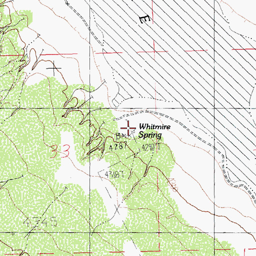 Topographic Map of Whitmore Spring, NM