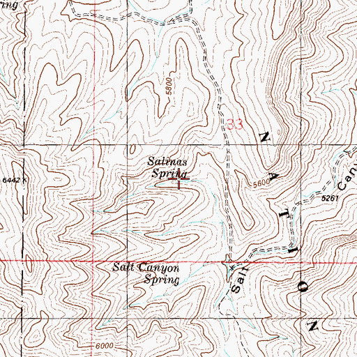 Topographic Map of Salinas Spring, NM