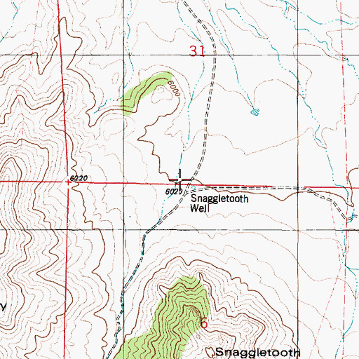 Topographic Map of Snaggletooth Well, NM