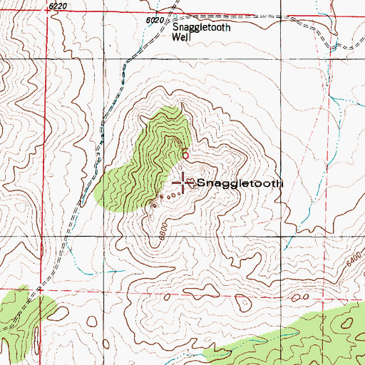 Topographic Map of Snaggletooth, NM