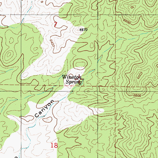 Topographic Map of Winston Spring, NM