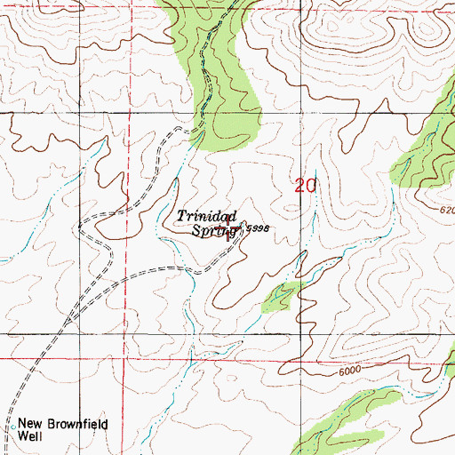 Topographic Map of Trinidad Spring, NM