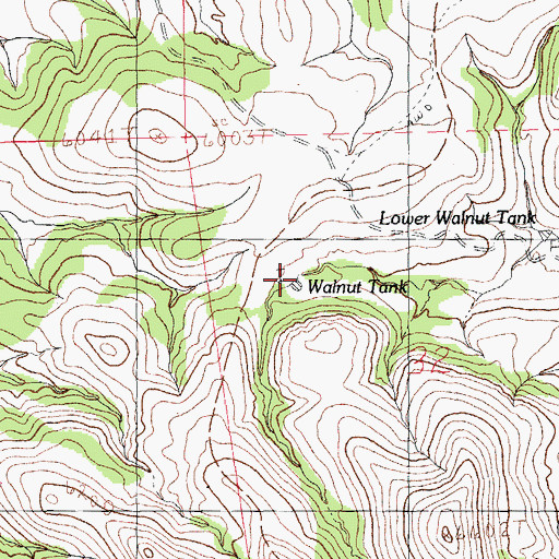 Topographic Map of Walnut Tank, NM