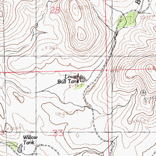 Topographic Map of Lower Bull Tank, NM