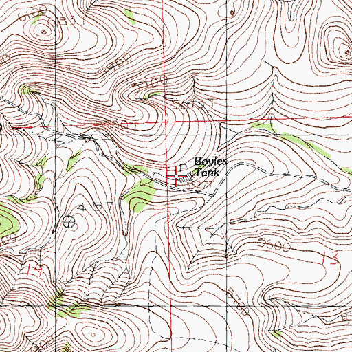 Topographic Map of Boyles Tank, NM