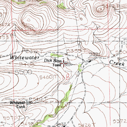 Topographic Map of Dick Bass Tank, NM