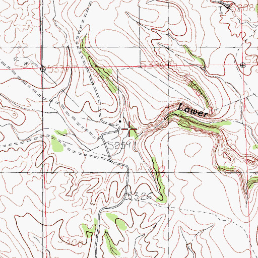 Topographic Map of Birch Creek, NM