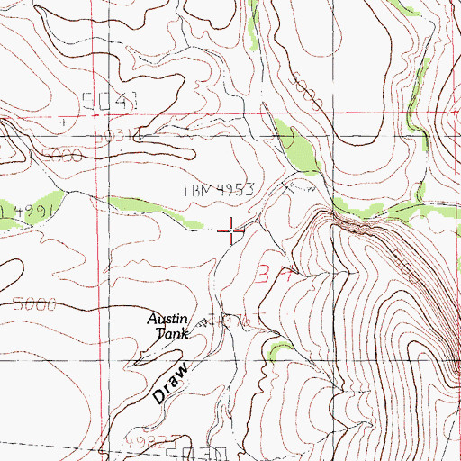 Topographic Map of Been Draw, NM