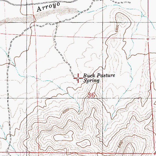 Topographic Map of Buck Pasture Spring, NM