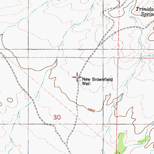 Topographic Map of New Brownfield Well, NM