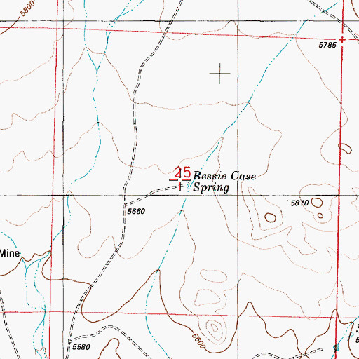 Topographic Map of Bessie Case Spring, NM