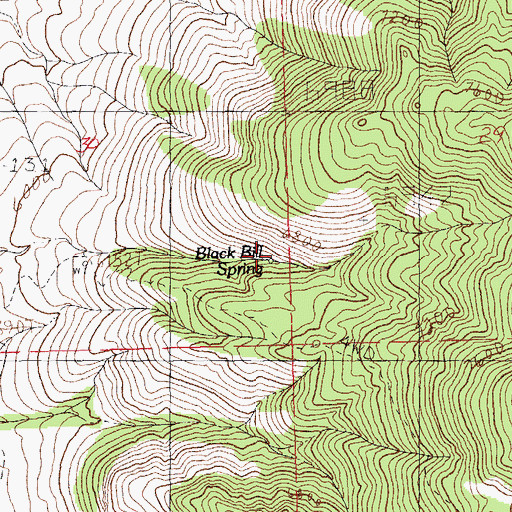 Topographic Map of Black Bill Spring, NM