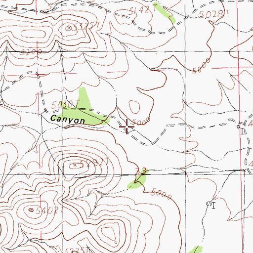 Topographic Map of Dupree Canyon, NM
