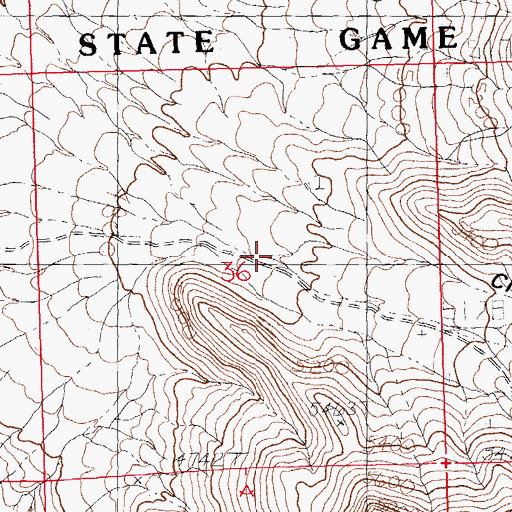 Topographic Map of Chaney Canyon, NM