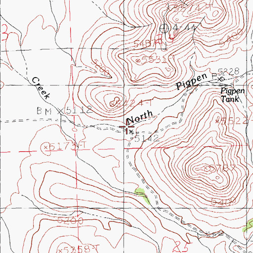 Topographic Map of North Pigpen Creek, NM