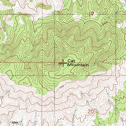 Topographic Map of Cat Mountain, NM