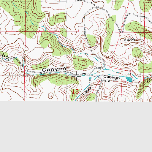 Topographic Map of North Fork Lobo Canyon, NM