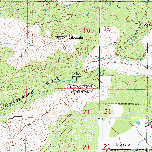 Topographic Map of Cottonwood Canyon, NM