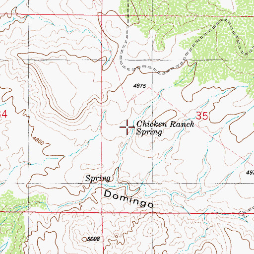 Topographic Map of Chicken Ranch Spring, NM