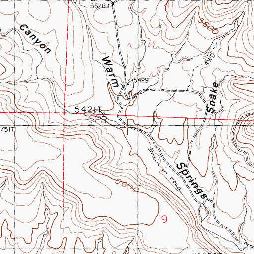 Topographic Map of Cold Springs Canyon, NM