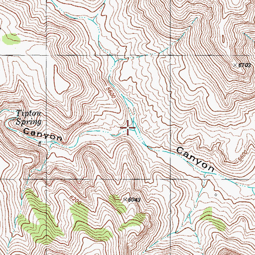 Topographic Map of Rosebud Canyon, NM