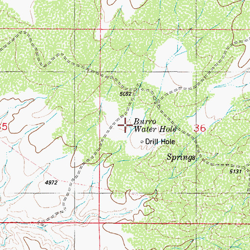 Topographic Map of Burro Water Hole, NM