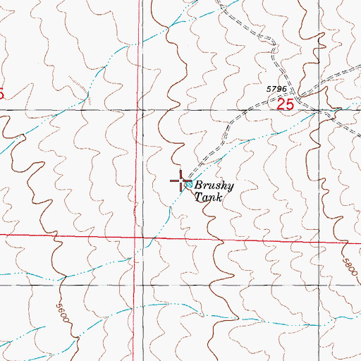 Topographic Map of Brushy Tank, NM