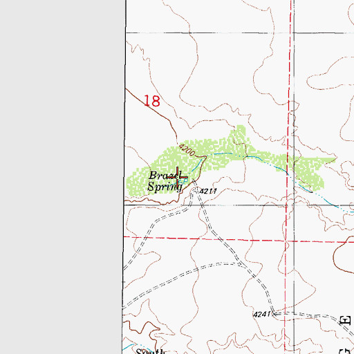 Topographic Map of Brazel Spring, NM