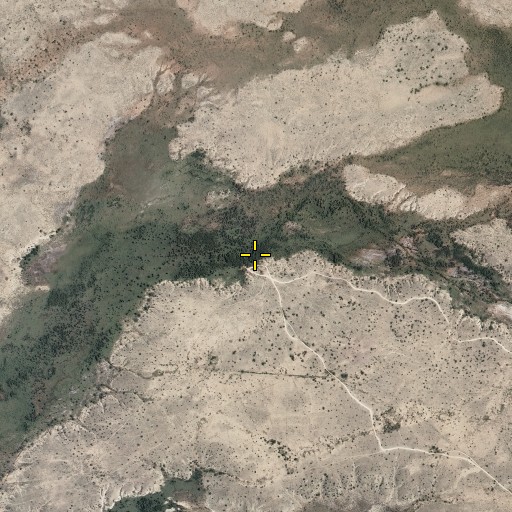 Aerial/Satellite Image of Brazel Spring, NM