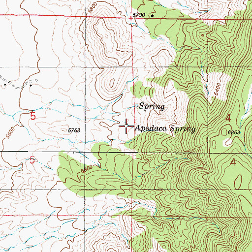 Topographic Map of Apodaca Spring, NM