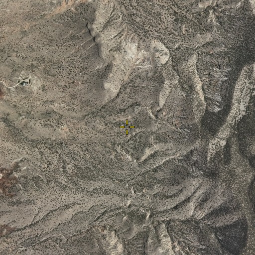 Aerial/Satellite Image of Apodaca Spring, NM