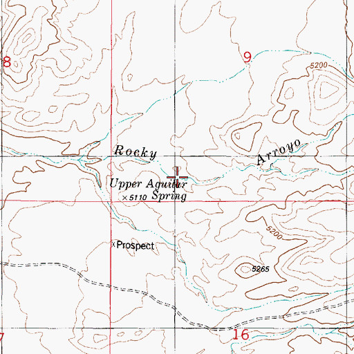 Topographic Map of Upper Agular Spring, NM