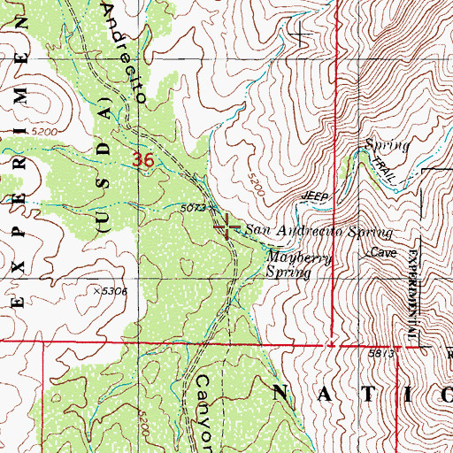 Topographic Map of San Adrecito Spring, NM
