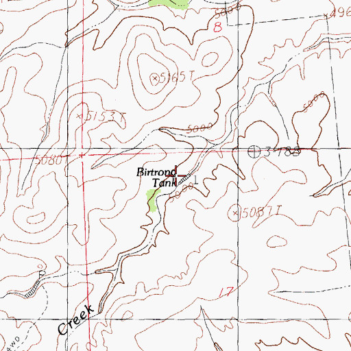Topographic Map of Birtrong Tank, NM