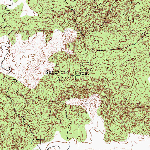 Topographic Map of Separate Hill, NM