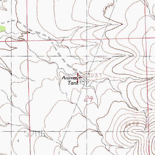 Topographic Map of Animas Tank, NM