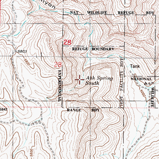 Topographic Map of Ash Spring, NM